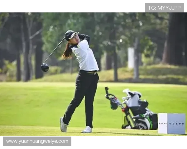 开云体育官方app功能全面介绍,掌握赛事直播、比分资讯、专家推荐等多项核心功能的使用技巧